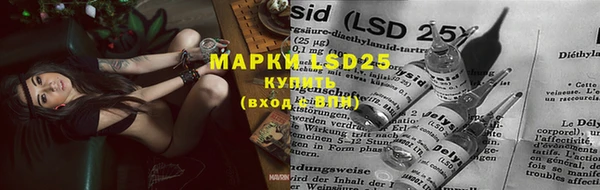 марки lsd Майский