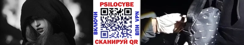 Галлюциногенные грибы Psilocybe  Петрозаводск 