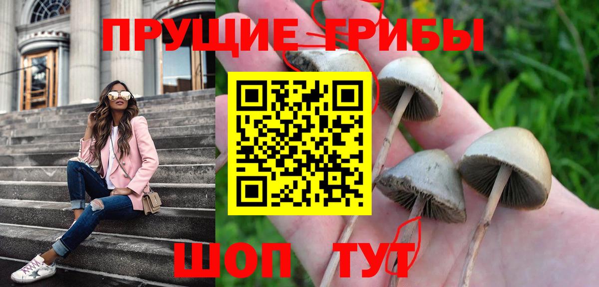 Петрозаводск  Галлюциногенные грибы мухоморы  Вход с VPN 